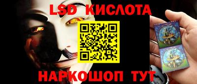 прущие грибы Гусиноозёрск