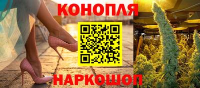 прущие грибы Гусиноозёрск