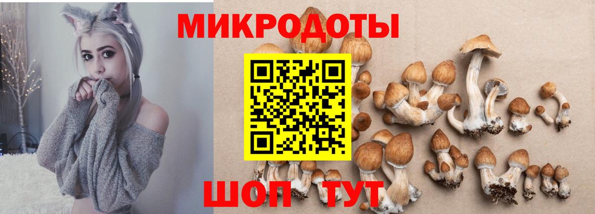Медногорск  Псилоцибиновые грибы Magic Shrooms  Вход с VPN  Псилоцибиновые грибы MAGIC MUSHROOMS 